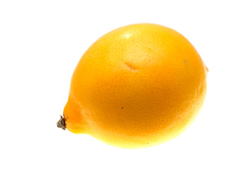 lemon on a white background
