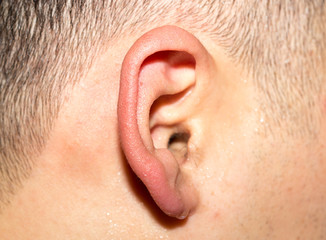 male ear in close up