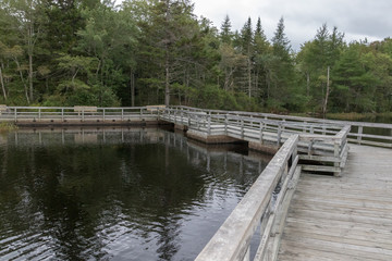 Wooden boardwalk lakeside, overcast sky, lewis lake, nova scotia, canada