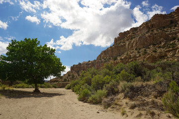 Dried up riverbed