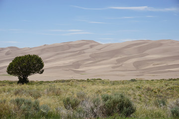 Sand dunes