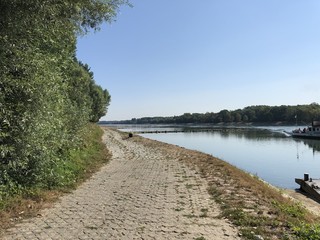 Fototapeta na wymiar Rhein bei Neuburg, Rheinfähre