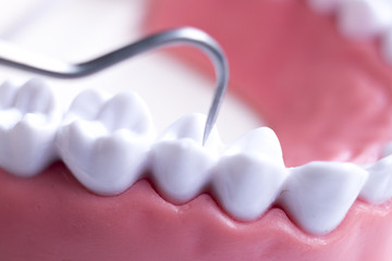 Dentist cleaning teeth