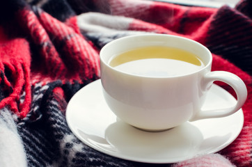 Cup of autumn tea