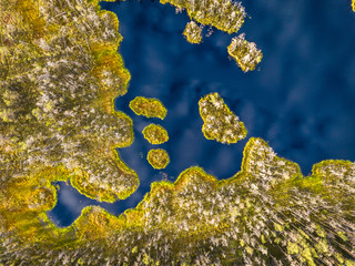 Drone Photo of Colorful Moorland in Early Summer Sunrise