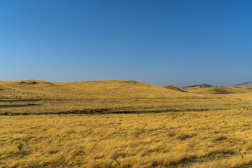 Fototapeta na wymiar Beautiful Countryside Yellow Field