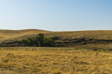 Obraz premium Beautiful Countryside Yellow Field