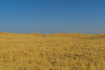 Obraz premium Beautiful Countryside Yellow Field