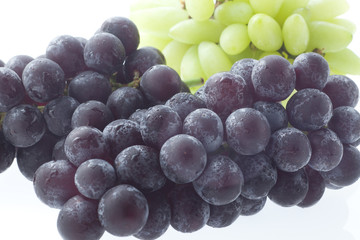 ブドウ　集合　イメージ