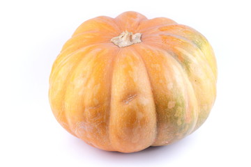 Pumpkin on white background. Isolated pumpkin. Orange vegetable close up. Healthy food. Halloween