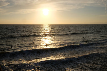 Obraz premium Surfer Sunset
