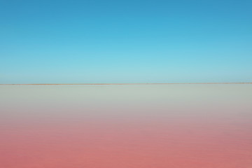Beautiful view of pink lake on summer day