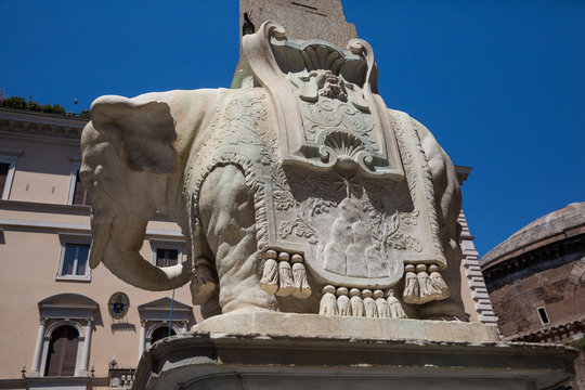 Close up view of the Elephant and Obelisk sculpture in Piazza della Minerva in Rome