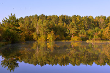 Autumn landscape by the lake. Reflection of the forest in the water in autumn. Beautiful autumn landscape with forest and water