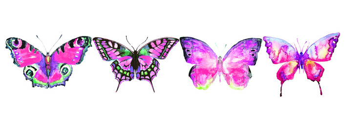 Naklejka na ściany i meble beautiful color butterflies, set, watercolor, isolated on a white
