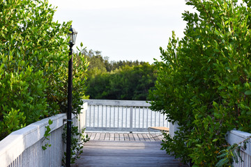 White Wooden Bridge