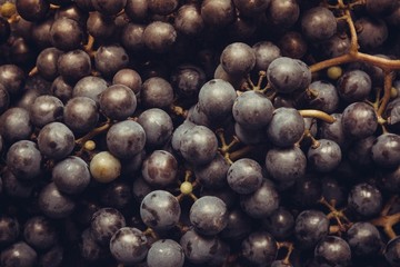 Black grapes.