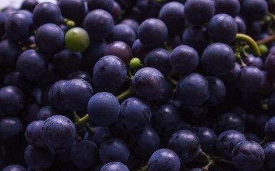 Dark blue grapes.