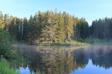 lake in forest