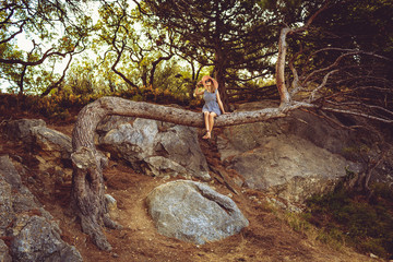 A woman in a hat sits on the trunk of a curved tree. The girl sits alone on a large uprooted tree. Beautiful summer landscape. The concept of rest and harmony. The concept of freedom and travel.