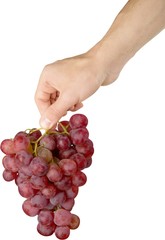 Hand Holding Red Grape Cluster - Isolated