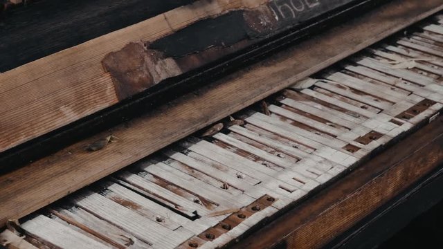 An old broken piano keyboard.