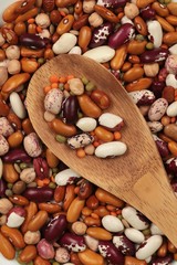 Mixed Raw Beans on Spoon