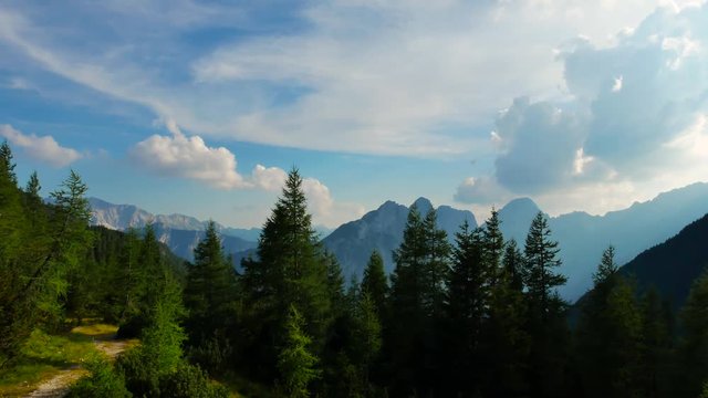 scenic view in the mountains with spruce tree forest and big valley