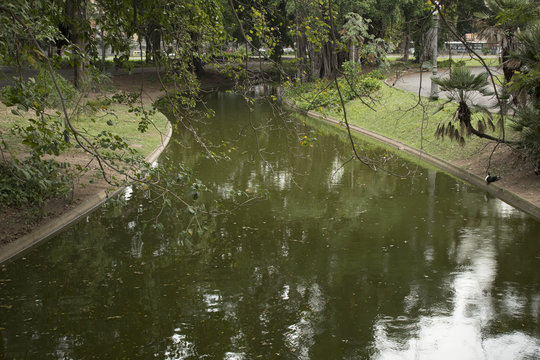 Lago - Campo de Santana Rj