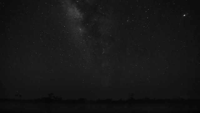 Milky way time lapse at night by a lake with silhouette of trees.