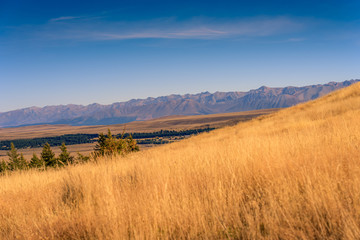 Tekapo, New Zealand