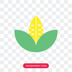 Corn vector icon isolated on transparent background, Corn logo design