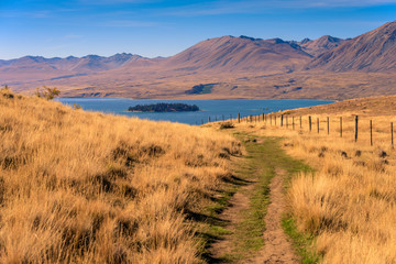 Tekapo, New Zealand