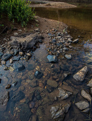 Pebbles in the stream