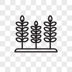 Grains vector icon isolated on transparent background, Grains logo design