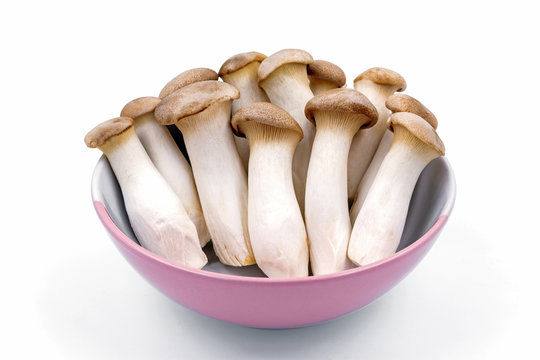 Oringi mushroom isolated on white background