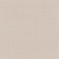 Seamless texture of canvas - 223287782