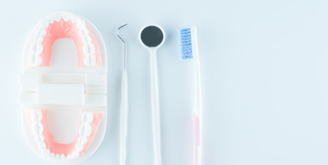 Dental model with dental tool on white background in health care concept.
