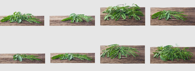 Tamarind leaves isolated on wooden table and gray background with clipping path.
