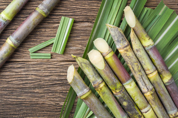 Close up sugarcane on wood background close up.