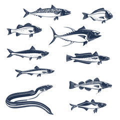 Sea and ocean fishes vector icons