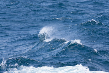 White crest of a sea wave. Selective focus. Shallow depth of field
