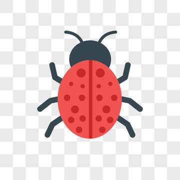 Ladybird vector icon isolated on transparent background, Ladybird logo design