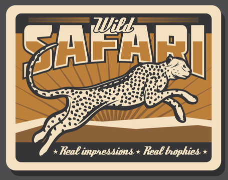 Safari cheetah or leopard hunting vector poster