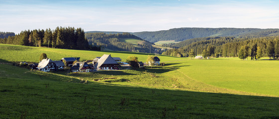 Schwarzwaldhof bei Gütenbach im Schwarzwald