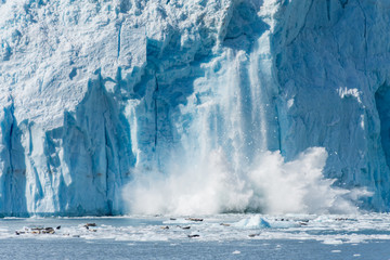 An Actively Calving Glacier in Gulf of Alaska - obrazy, fototapety, plakaty