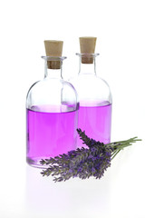 Obraz na płótnie Canvas Lavender extract. Aroma of lavender.lavender water in a glass bottle , branch of fresh lavender isolated on a white background.