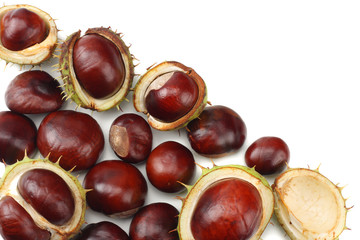 chestnuts isolated on white background. top view