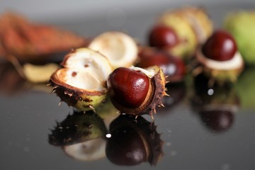 Several ripened chestnut fruits in lying on the table