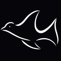 Flying dove, bird on a black background